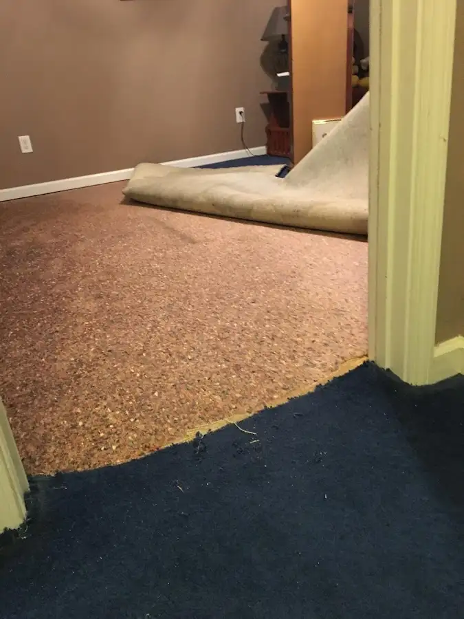Carpet pad removal revealing water damage during Drying & Dehumidification in Niagara