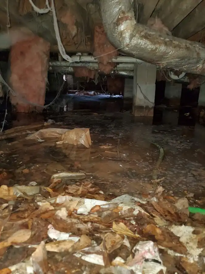 Crawl space flood assessment for Leak Detection & Repair in Niagara