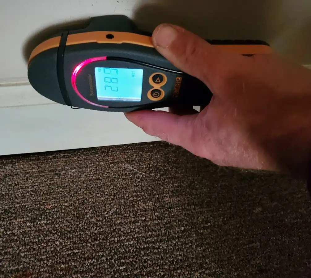 Moisture detection at baseboard during Storm Damage Restoration in Niagara